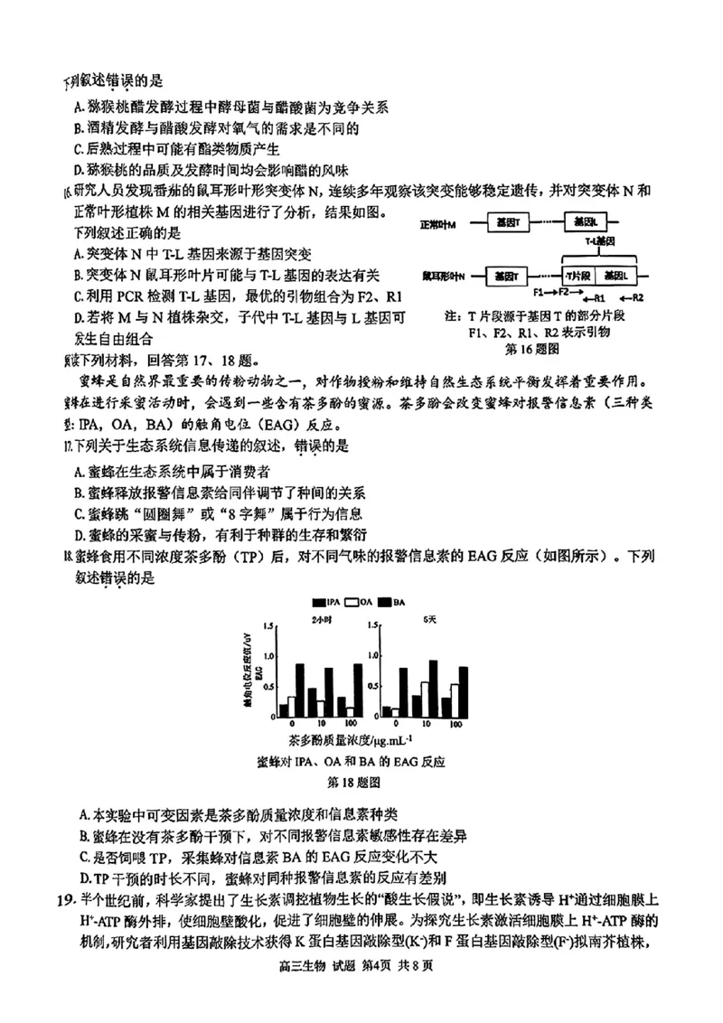 七彩阳光联盟高三生物试卷_2024-2025高三（6-6月题库）_2024年08月试卷_08292024年8月浙江省七彩阳光联盟高三返校考试