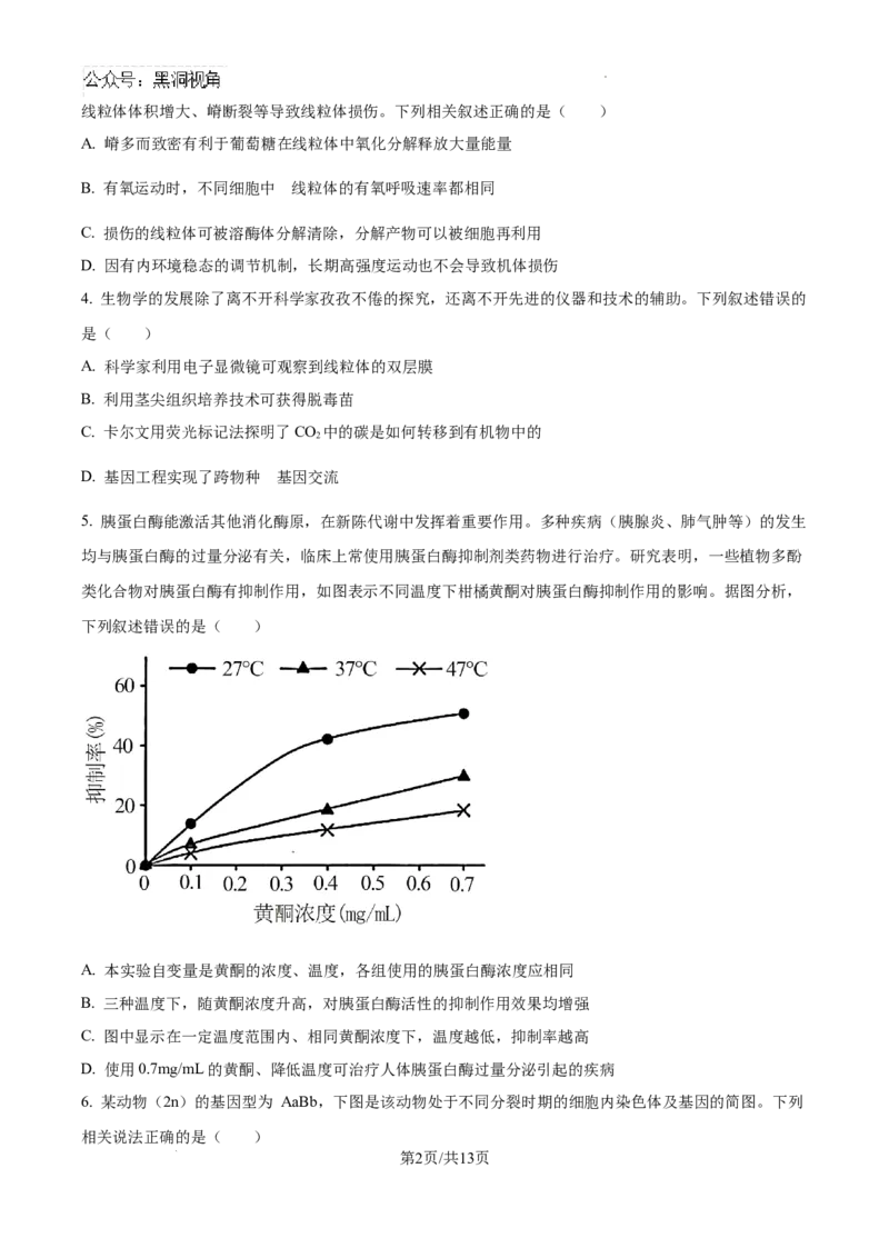 广东省省潮南区2024-2025学年高三上学期摸底考试生物试题+答案_2024-2025高三（6-6月题库）_2024年09月试卷_0910广东省汕头市潮南区2024-2025学年高三上学期摸底考试