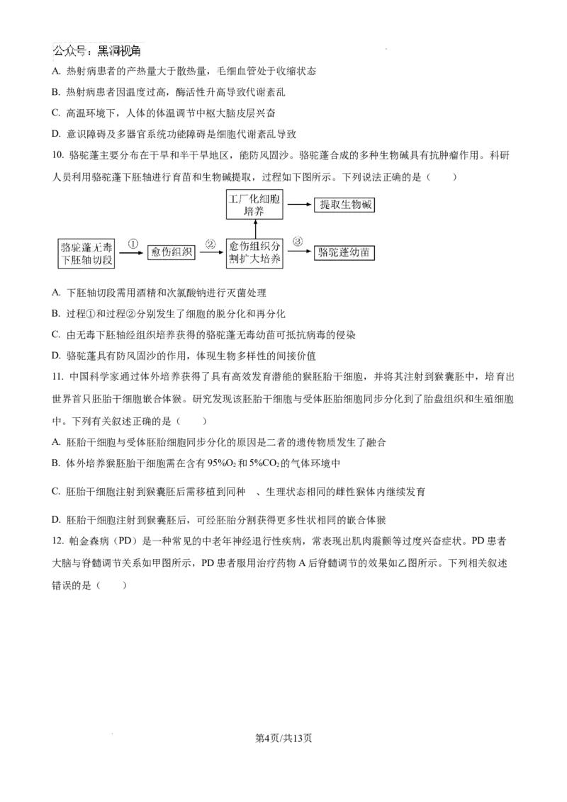 广东省省潮南区2024-2025学年高三上学期摸底考试生物试题+答案_2024-2025高三（6-6月题库）_2024年09月试卷_0910广东省汕头市潮南区2024-2025学年高三上学期摸底考试