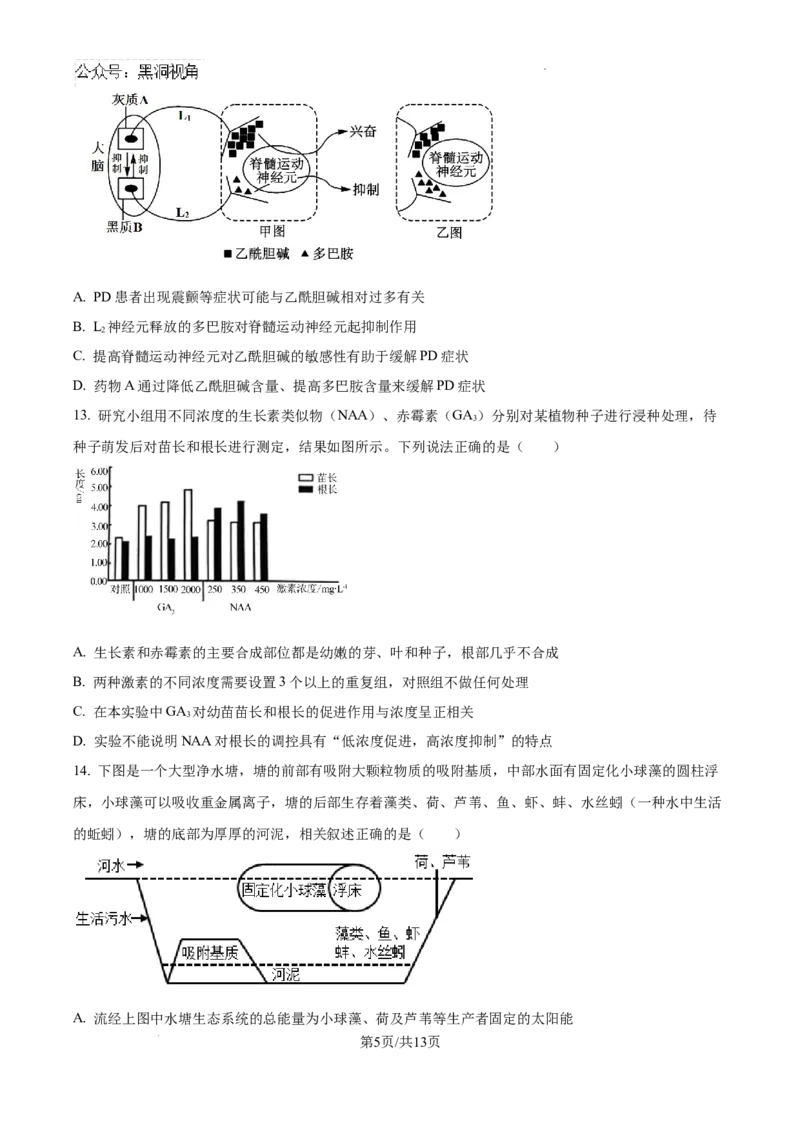 广东省省潮南区2024-2025学年高三上学期摸底考试生物试题+答案_2024-2025高三（6-6月题库）_2024年09月试卷_0910广东省汕头市潮南区2024-2025学年高三上学期摸底考试