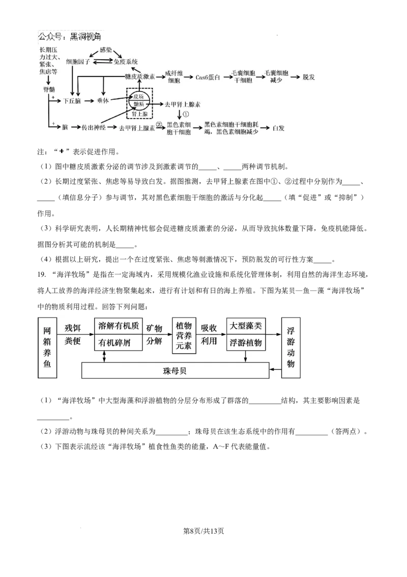 广东省省潮南区2024-2025学年高三上学期摸底考试生物试题+答案_2024-2025高三（6-6月题库）_2024年09月试卷_0910广东省汕头市潮南区2024-2025学年高三上学期摸底考试