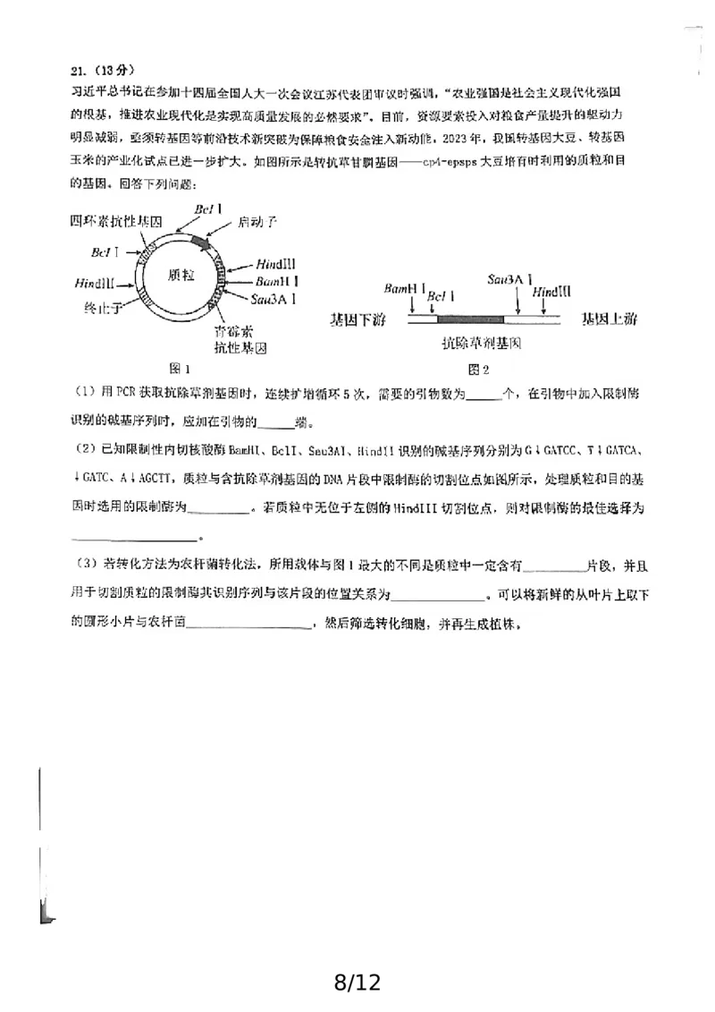 广东省广州市荔湾区广州市真光中学2024-2025学年高三上学期开学质量检测生物试题_2024-2025高三（6-6月题库）_2024年08月试卷_0811广东省广州市真光中学2025届高三8月开学质量检测