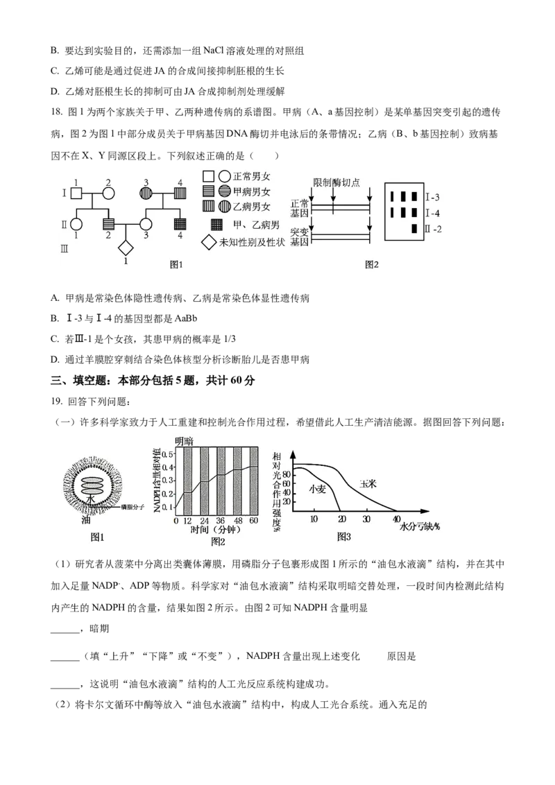 江苏省句容三中、海安实验中学联考2023-2024学年高三10月月考生物试题（原卷版）(1)_2023年11月_0211月合集_2024届江苏省句容市三中、海安市实验中学高三10月联考