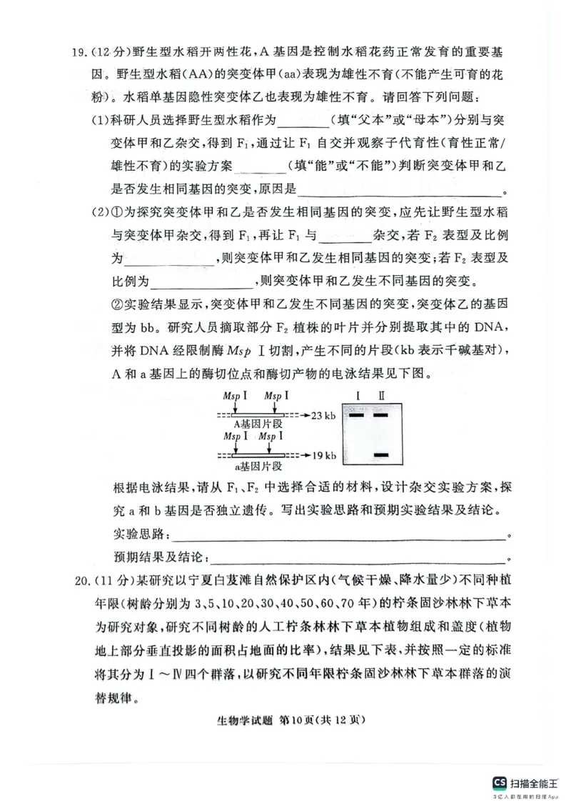 河南湘豫名校2024-2025学年高三上学期9月新高考适应性调研考试生物试题_2024-2025高三（6-6月题库）_2024年09月试卷_0928湘豫名校2024-2025学年高三上学期9月新高考适应性调研考试