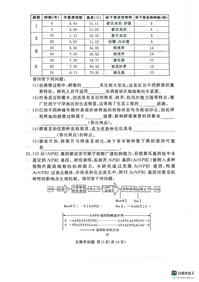河南湘豫名校2024-2025学年高三上学期9月新高考适应性调研考试生物试题_2024-2025高三（6-6月题库）_2024年09月试卷_0928湘豫名校2024-2025学年高三上学期9月新高考适应性调研考试