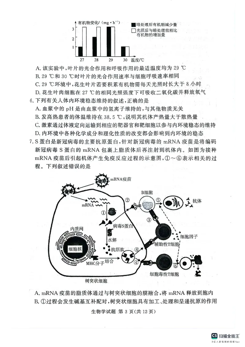 河南湘豫名校2024-2025学年高三上学期9月新高考适应性调研考试生物试题_2024-2025高三（6-6月题库）_2024年09月试卷_0928湘豫名校2024-2025学年高三上学期9月新高考适应性调研考试