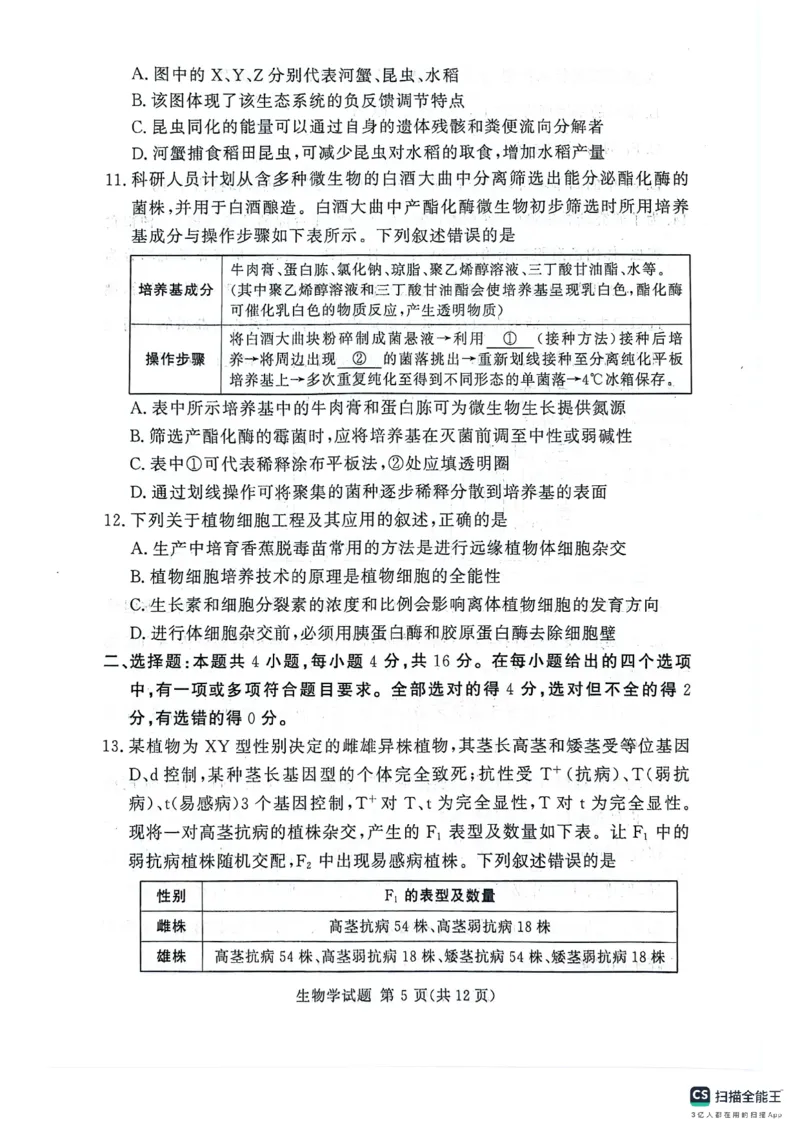 河南湘豫名校2024-2025学年高三上学期9月新高考适应性调研考试生物试题_2024-2025高三（6-6月题库）_2024年09月试卷_0928湘豫名校2024-2025学年高三上学期9月新高考适应性调研考试