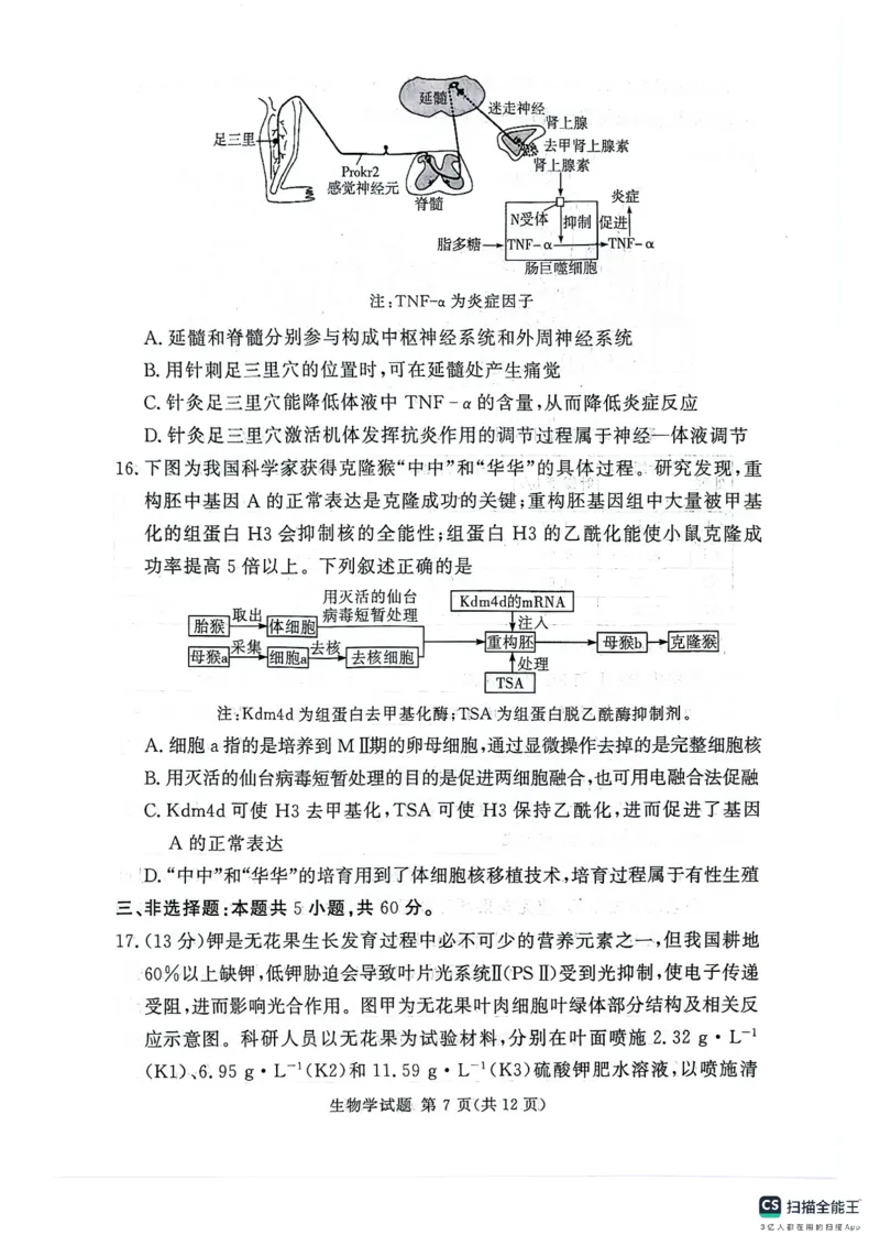 河南湘豫名校2024-2025学年高三上学期9月新高考适应性调研考试生物试题_2024-2025高三（6-6月题库）_2024年09月试卷_0928湘豫名校2024-2025学年高三上学期9月新高考适应性调研考试