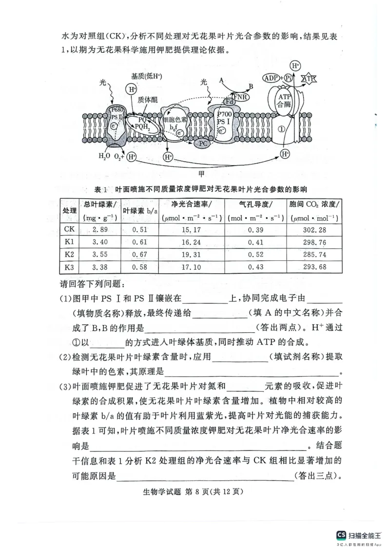 河南湘豫名校2024-2025学年高三上学期9月新高考适应性调研考试生物试题_2024-2025高三（6-6月题库）_2024年09月试卷_0928湘豫名校2024-2025学年高三上学期9月新高考适应性调研考试