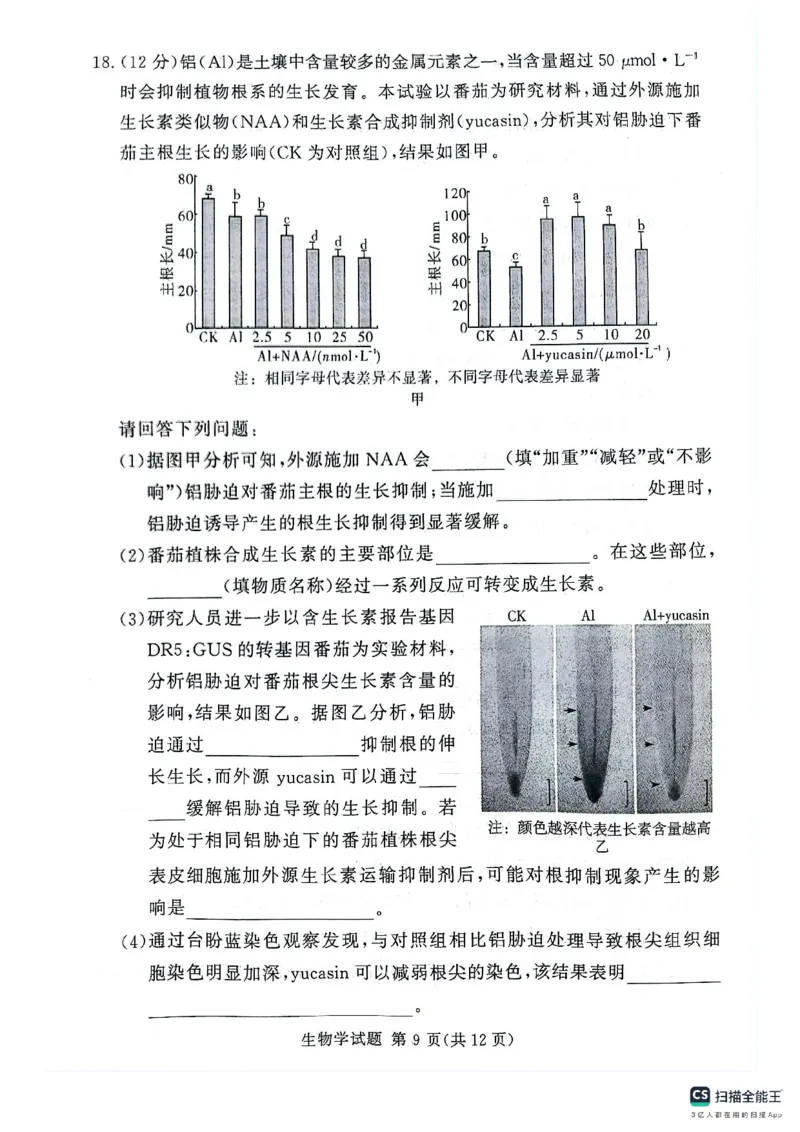 河南湘豫名校2024-2025学年高三上学期9月新高考适应性调研考试生物试题_2024-2025高三（6-6月题库）_2024年09月试卷_0928湘豫名校2024-2025学年高三上学期9月新高考适应性调研考试