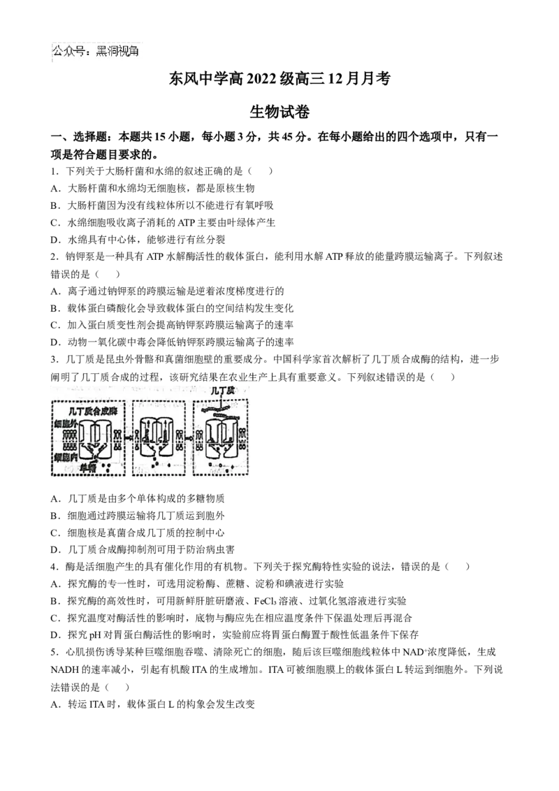 四川省南充市阆中东风学校2024-2025学年高三12月月考试题生物+答案_2024-2025高三（6-6月题库）_2024年12月试卷_1221四川省南充市阆中东风学校2024-2025学年高三12月月考试题