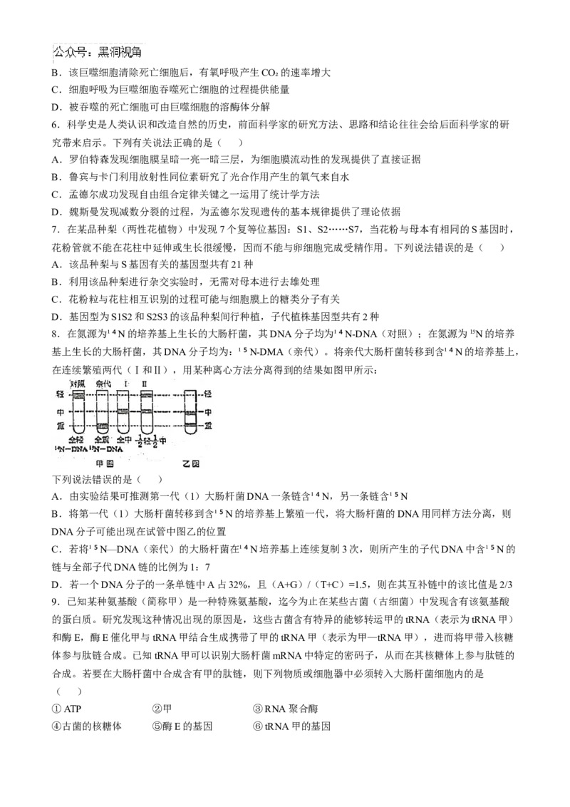 四川省南充市阆中东风学校2024-2025学年高三12月月考试题生物+答案_2024-2025高三（6-6月题库）_2024年12月试卷_1221四川省南充市阆中东风学校2024-2025学年高三12月月考试题