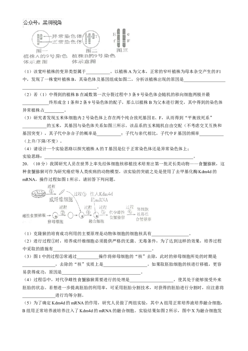 四川省南充市阆中东风学校2024-2025学年高三12月月考试题生物+答案_2024-2025高三（6-6月题库）_2024年12月试卷_1221四川省南充市阆中东风学校2024-2025学年高三12月月考试题