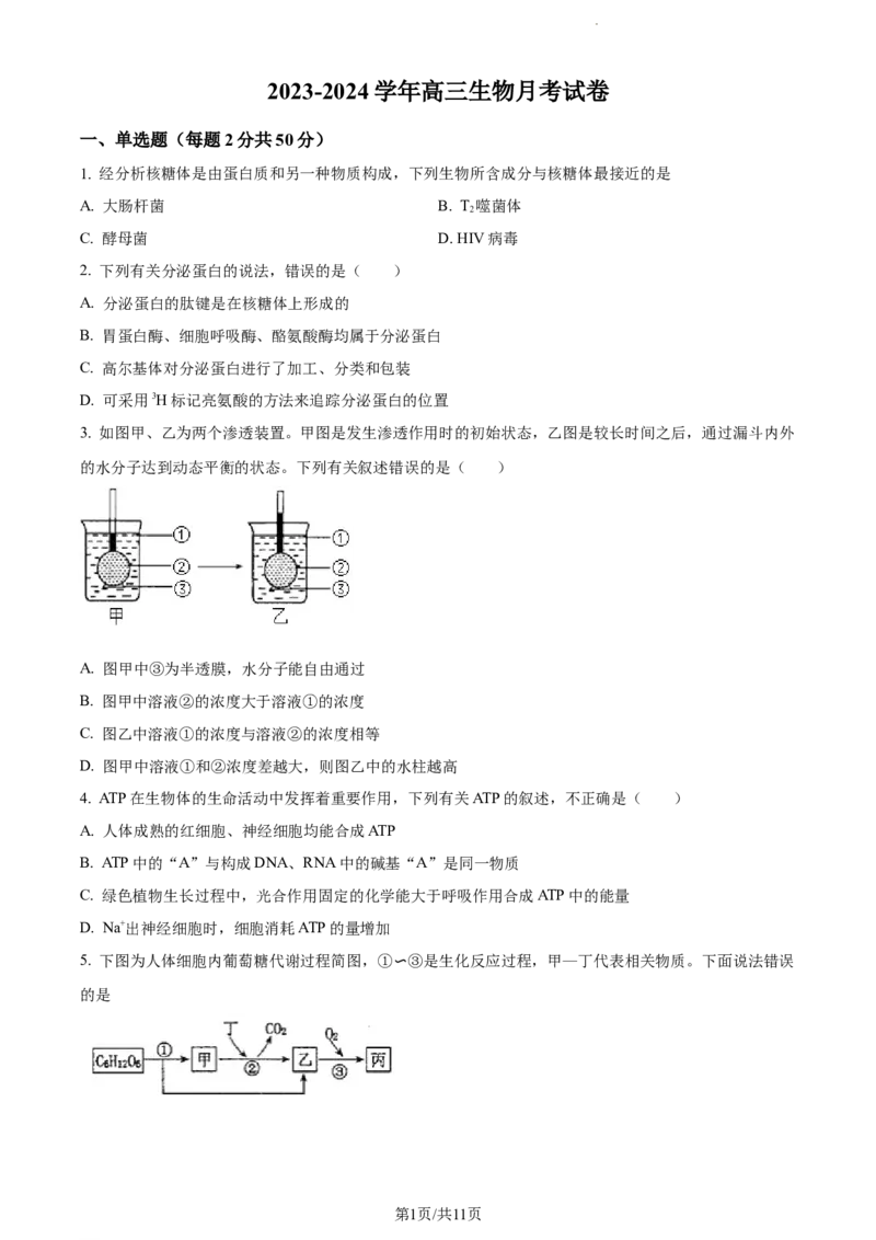 精品解析：新疆生产建设兵团第三师图木舒克市一中2023-2024学年高三11月月考生物试题（原卷版）(1)_2023年11月_0211月合集