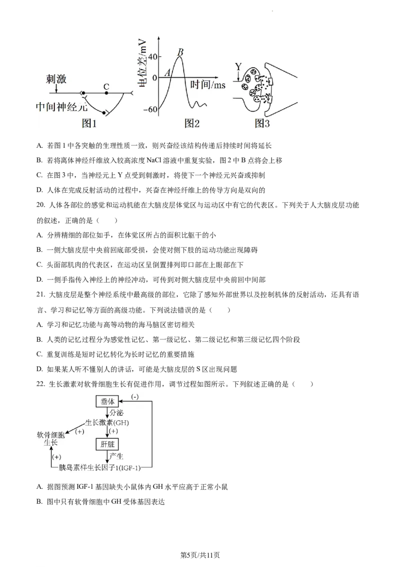精品解析：新疆生产建设兵团第三师图木舒克市一中2023-2024学年高三11月月考生物试题（原卷版）(1)_2023年11月_0211月合集