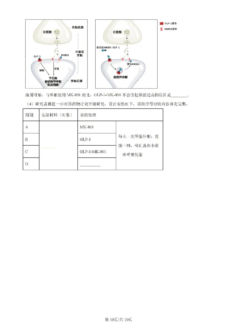 广东省四校（华附、省实、广雅、深中）2023-2024学年高二下学期期末联考生物试题（含解析）_2024-2025高二（7-7月题库）_2024年07月试卷