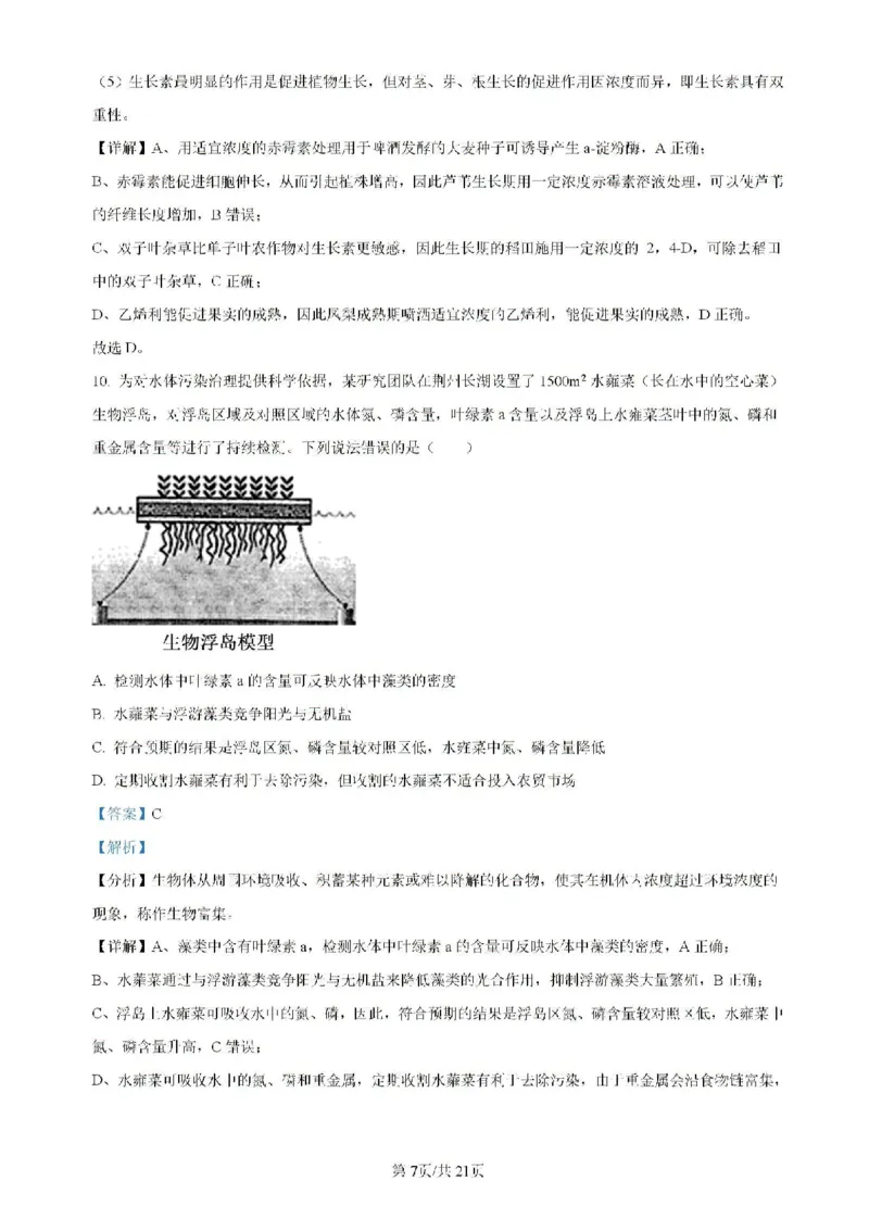广东省四校（华附、省实、广雅、深中）2023-2024学年高二下学期期末联考生物试题（含解析）_2024-2025高二（7-7月题库）_2024年07月试卷