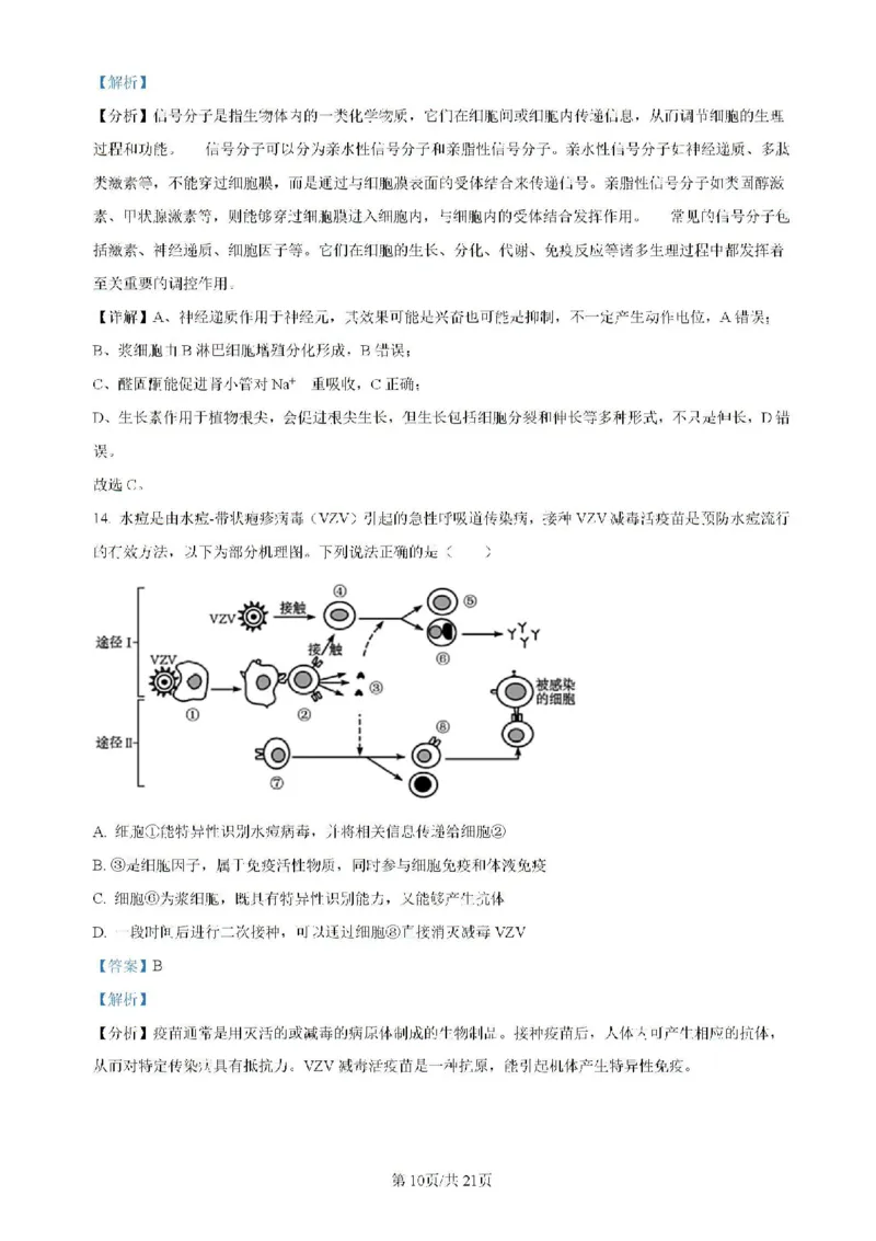 广东省四校（华附、省实、广雅、深中）2023-2024学年高二下学期期末联考生物试题（含解析）_2024-2025高二（7-7月题库）_2024年07月试卷