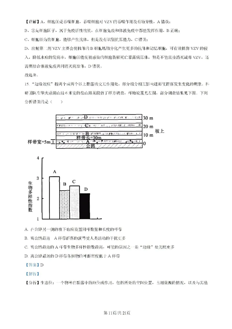 广东省四校（华附、省实、广雅、深中）2023-2024学年高二下学期期末联考生物试题（含解析）_2024-2025高二（7-7月题库）_2024年07月试卷