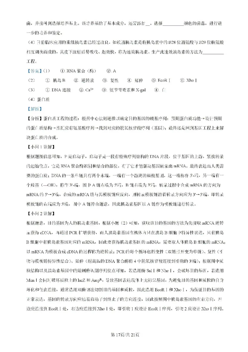 广东省四校（华附、省实、广雅、深中）2023-2024学年高二下学期期末联考生物试题（含解析）_2024-2025高二（7-7月题库）_2024年07月试卷