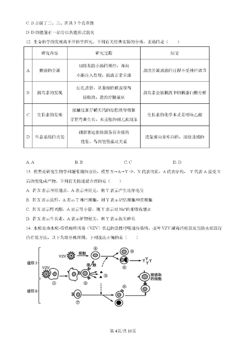 广东省四校（华附、省实、广雅、深中）2023-2024学年高二下学期期末联考生物试题（含解析）_2024-2025高二（7-7月题库）_2024年07月试卷