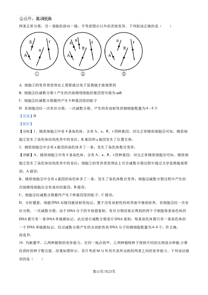 广东省深圳中学2024-2025学年高三上学期第一次摸底考试生物试题（解析）_2024-2025高三（6-6月题库）_2024年09月试卷_0925广东省深圳中学2024-2025学年高三上学期第一次摸底考试