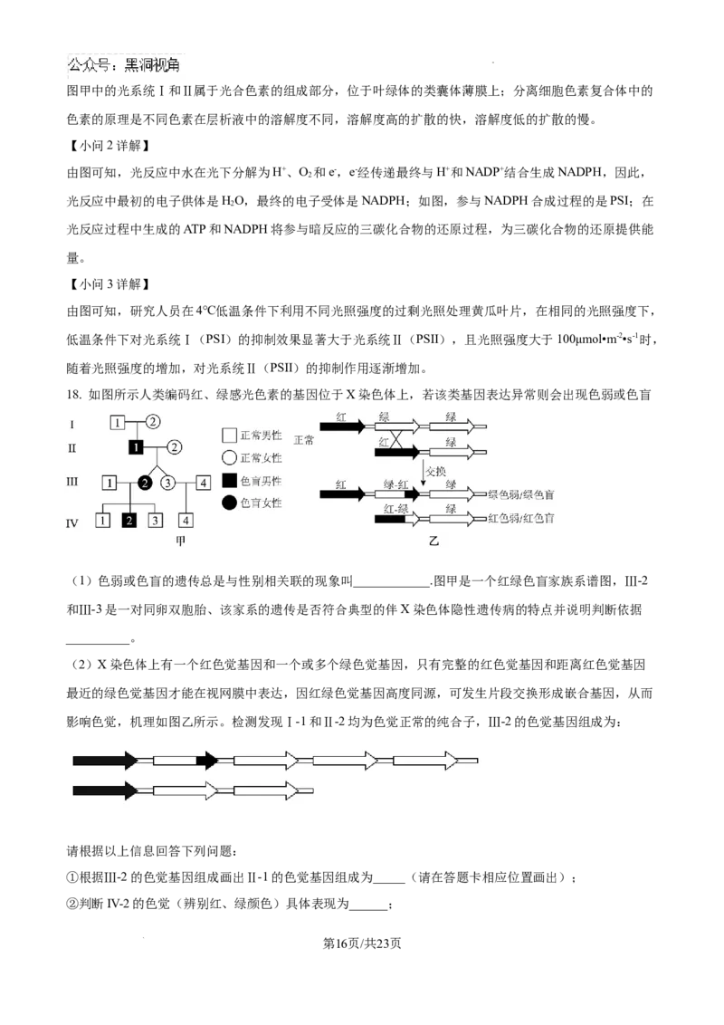 广东省深圳中学2024-2025学年高三上学期第一次摸底考试生物试题（解析）_2024-2025高三（6-6月题库）_2024年09月试卷_0925广东省深圳中学2024-2025学年高三上学期第一次摸底考试