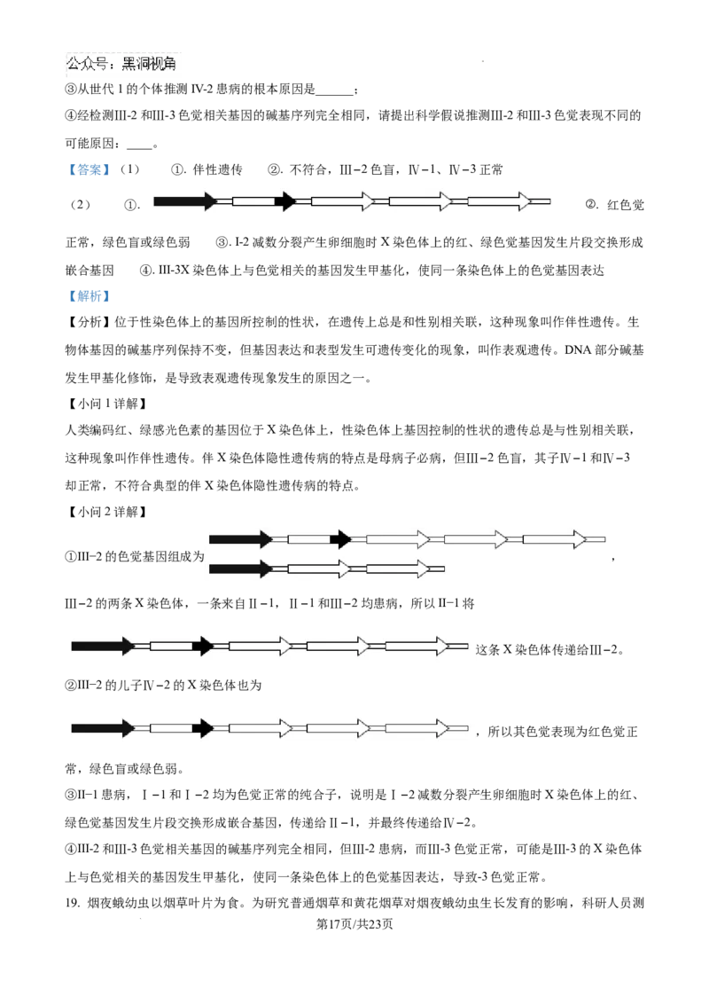 广东省深圳中学2024-2025学年高三上学期第一次摸底考试生物试题（解析）_2024-2025高三（6-6月题库）_2024年09月试卷_0925广东省深圳中学2024-2025学年高三上学期第一次摸底考试