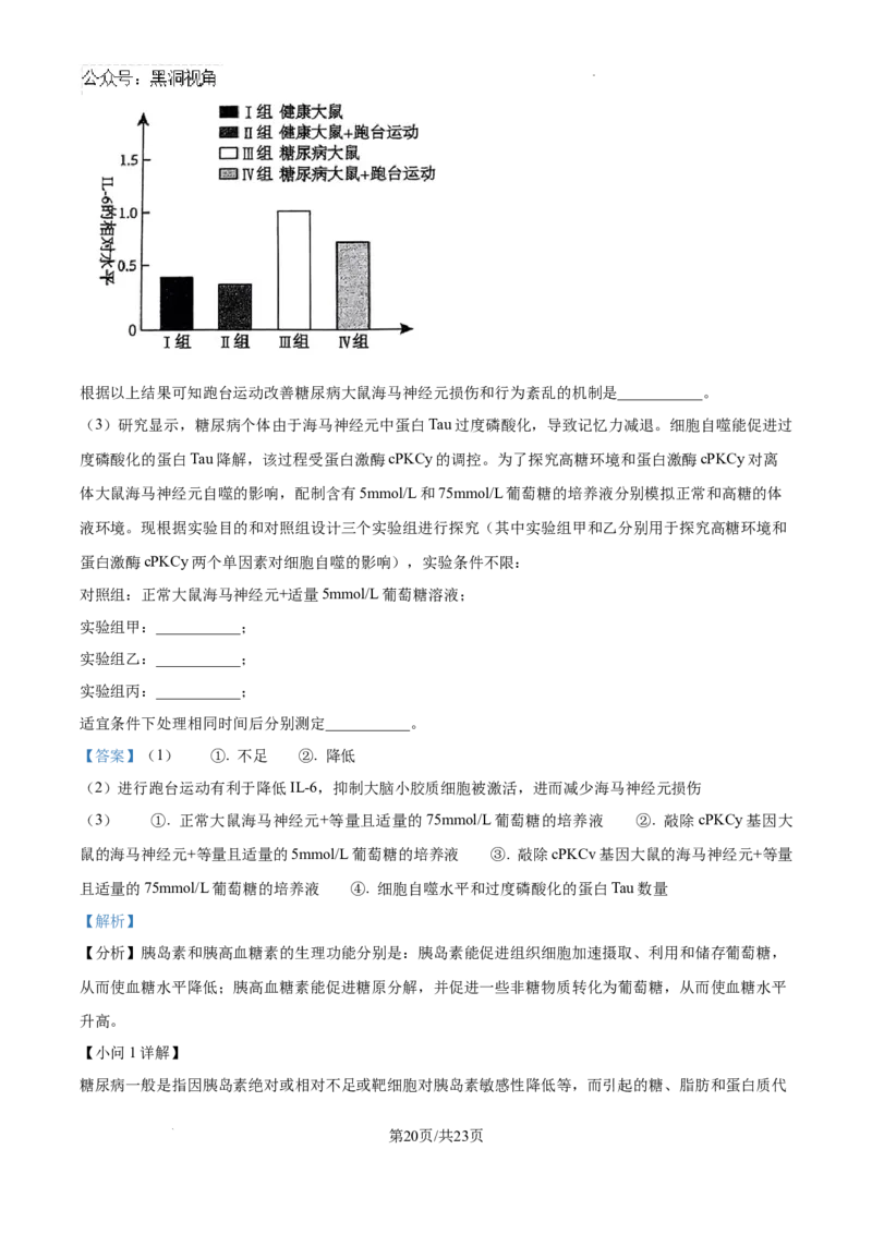 广东省深圳中学2024-2025学年高三上学期第一次摸底考试生物试题（解析）_2024-2025高三（6-6月题库）_2024年09月试卷_0925广东省深圳中学2024-2025学年高三上学期第一次摸底考试