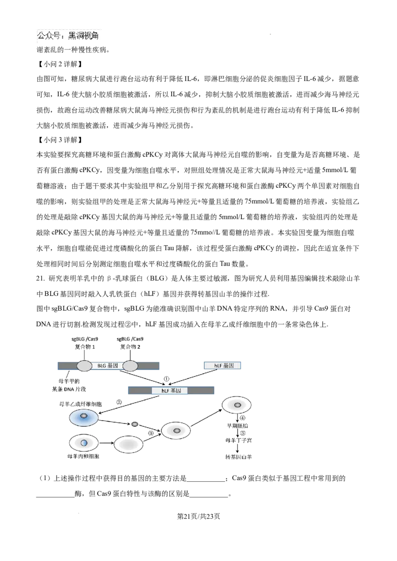 广东省深圳中学2024-2025学年高三上学期第一次摸底考试生物试题（解析）_2024-2025高三（6-6月题库）_2024年09月试卷_0925广东省深圳中学2024-2025学年高三上学期第一次摸底考试
