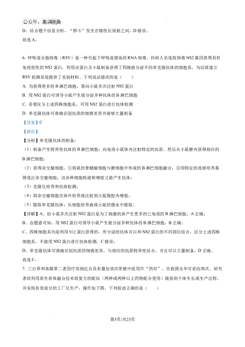 广东省深圳中学2024-2025学年高三上学期第一次摸底考试生物试题（解析）_2024-2025高三（6-6月题库）_2024年09月试卷_0925广东省深圳中学2024-2025学年高三上学期第一次摸底考试