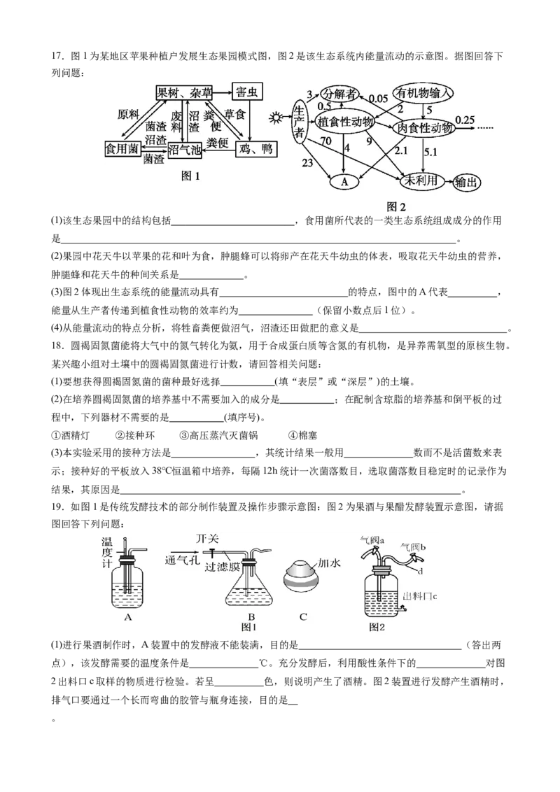 四川省内江市威远中学校2024-2025学年高二下学期期中考试生物学试题（含答案）_2024-2025高二（7-7月题库）_2025年04月试卷(1)_0424四川省内江市威远中学2024-2025学年高二下学期期中考试