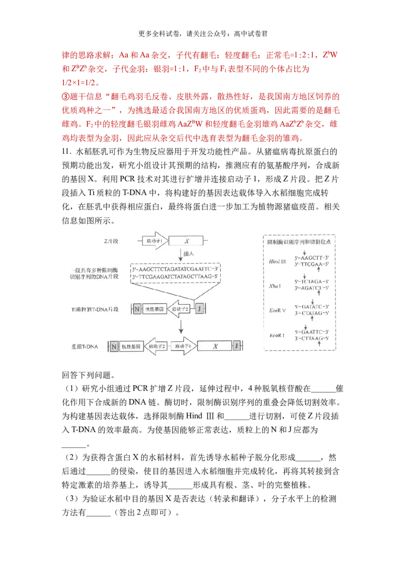 生物（九省联考真题完全解读，河南卷）-2024年1月&ldquo;九省联考&rdquo;真题完全解读与考后提升_2024年4月_其他_2024年1月新&ldquo;九省联考&rdquo;考后提升卷（原卷+解析）