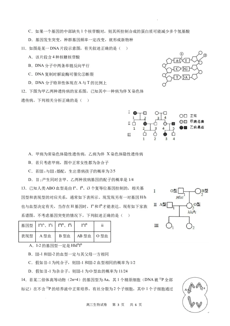 生物试卷(1)_2023年11月_0211月合集_2024届重庆市缙云教育联盟高三上学期11月月考试题_重庆市缙云教育联盟2023-2024学年高三上学期11月月考试题生物