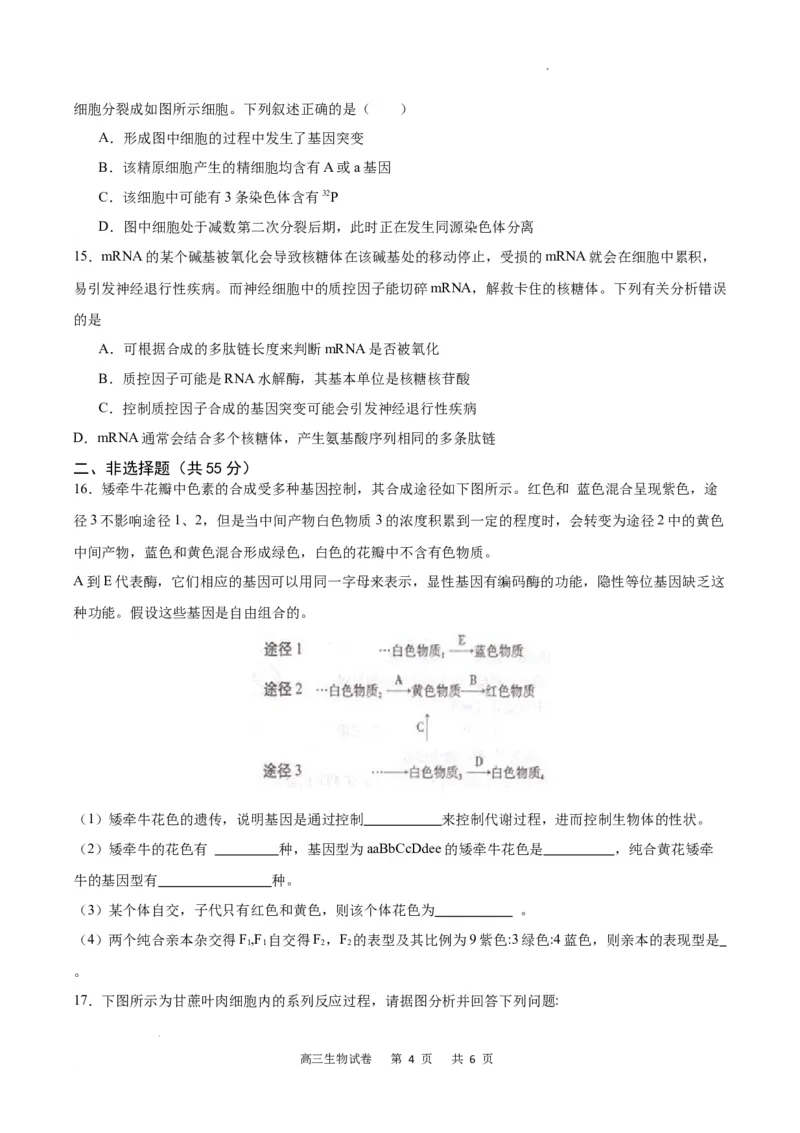 生物试卷(1)_2023年11月_0211月合集_2024届重庆市缙云教育联盟高三上学期11月月考试题_重庆市缙云教育联盟2023-2024学年高三上学期11月月考试题生物