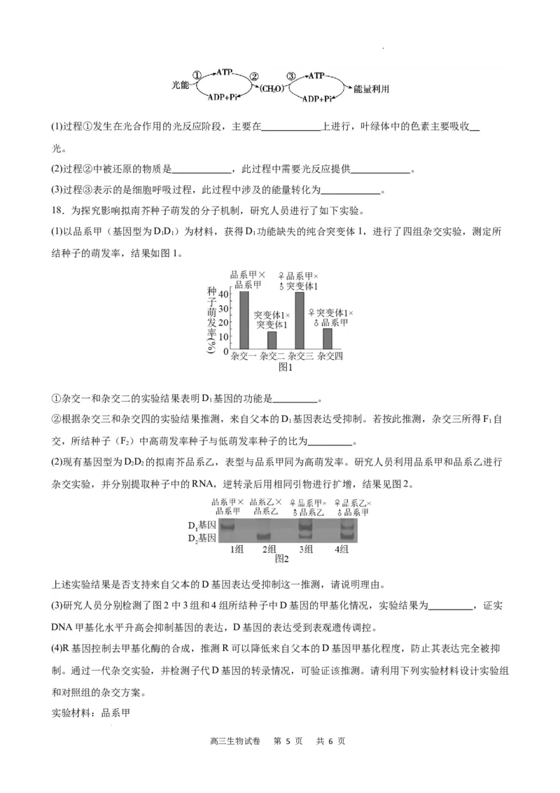生物试卷(1)_2023年11月_0211月合集_2024届重庆市缙云教育联盟高三上学期11月月考试题_重庆市缙云教育联盟2023-2024学年高三上学期11月月考试题生物