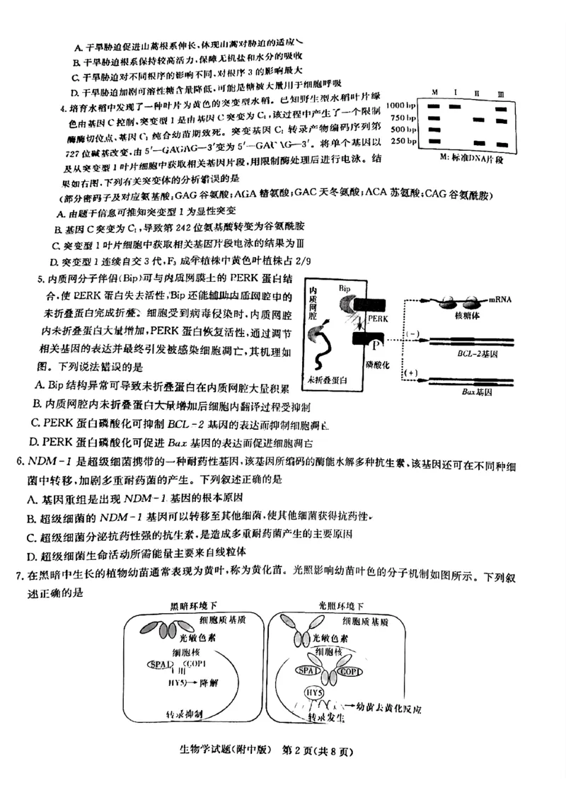 英才大联考湖南师大附中2024届高三月考七生物无答案_2024年4月_01按日期_1号_2024届湖南师范大学附属中学高三月考（七）