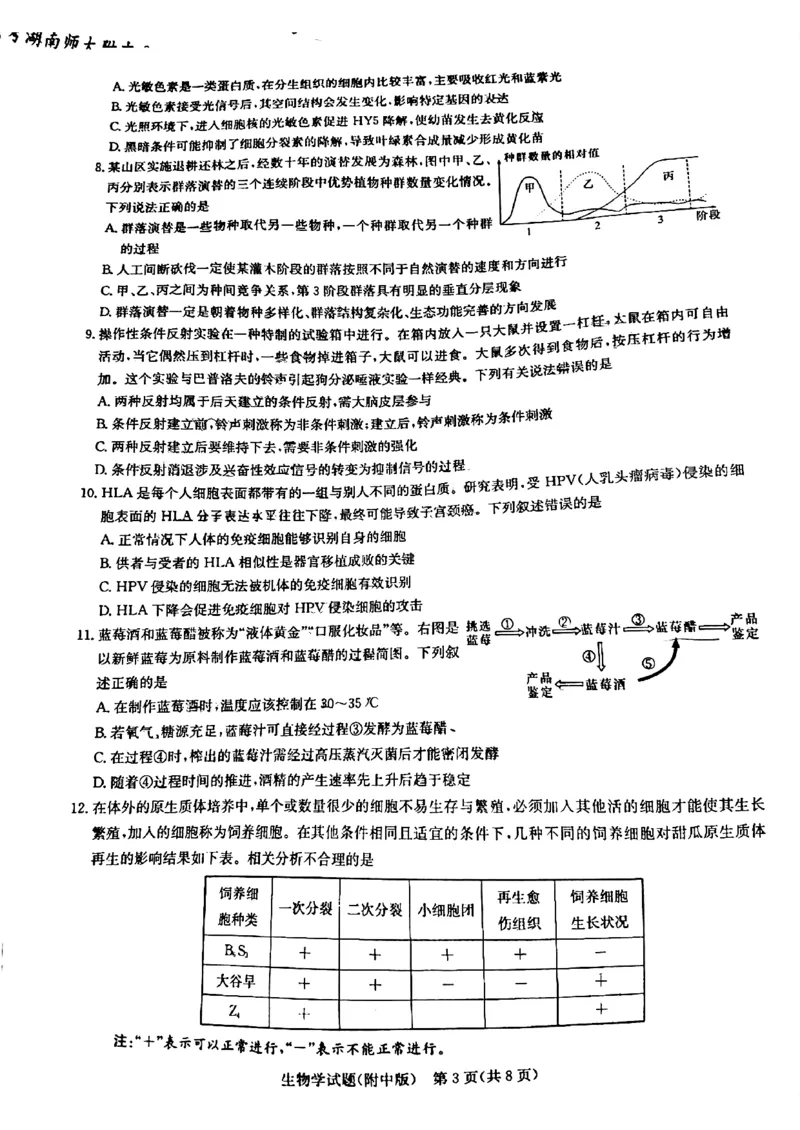 英才大联考湖南师大附中2024届高三月考七生物无答案_2024年4月_01按日期_1号_2024届湖南师范大学附属中学高三月考（七）