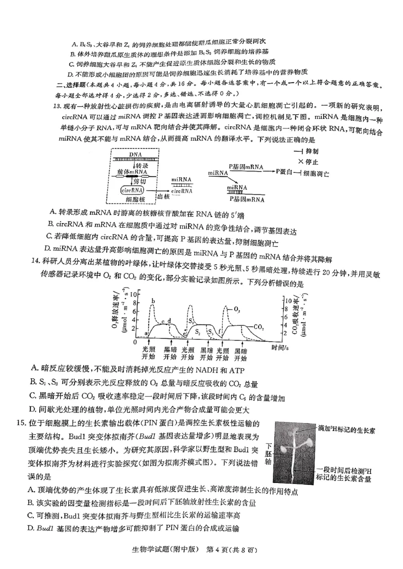 英才大联考湖南师大附中2024届高三月考七生物无答案_2024年4月_01按日期_1号_2024届湖南师范大学附属中学高三月考（七）