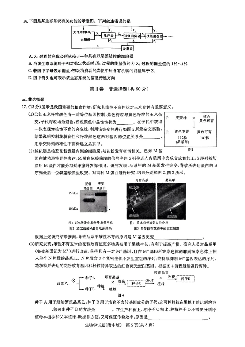 英才大联考湖南师大附中2024届高三月考七生物无答案_2024年4月_01按日期_1号_2024届湖南师范大学附属中学高三月考（七）