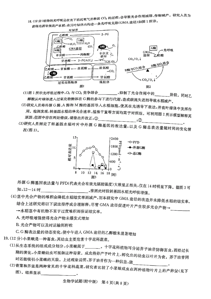 英才大联考湖南师大附中2024届高三月考七生物无答案_2024年4月_01按日期_1号_2024届湖南师范大学附属中学高三月考（七）