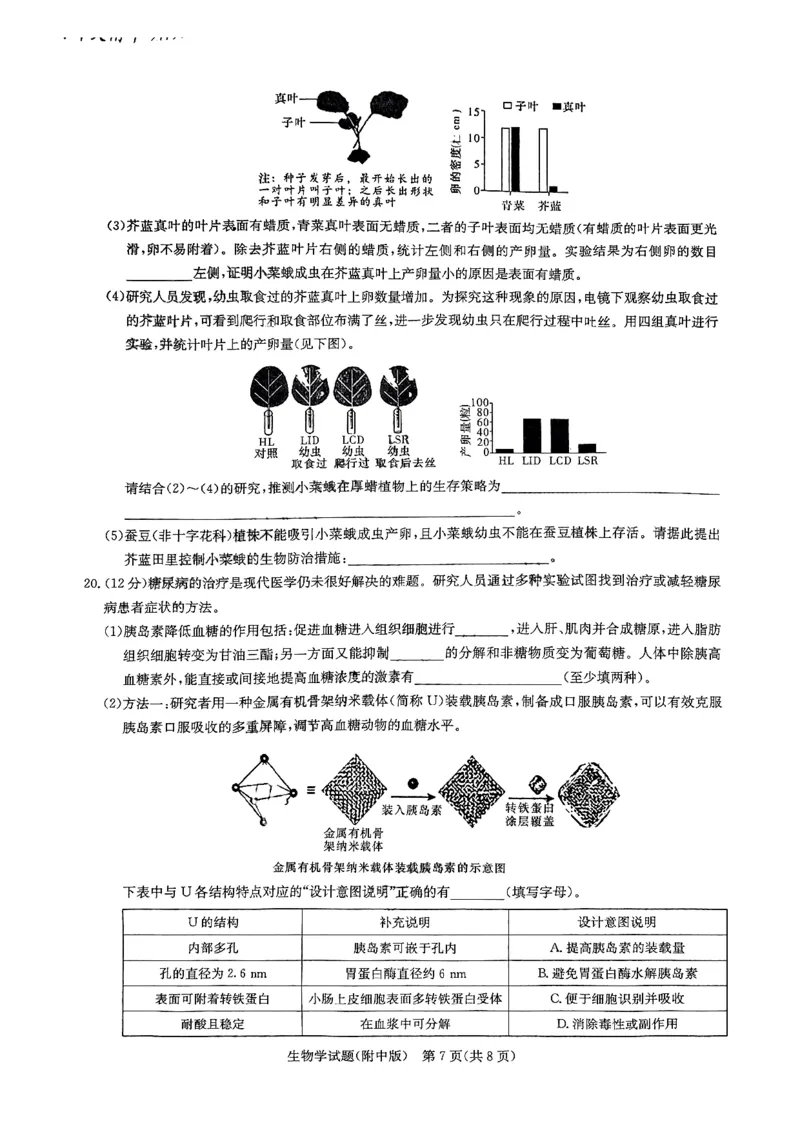 英才大联考湖南师大附中2024届高三月考七生物无答案_2024年4月_01按日期_1号_2024届湖南师范大学附属中学高三月考（七）