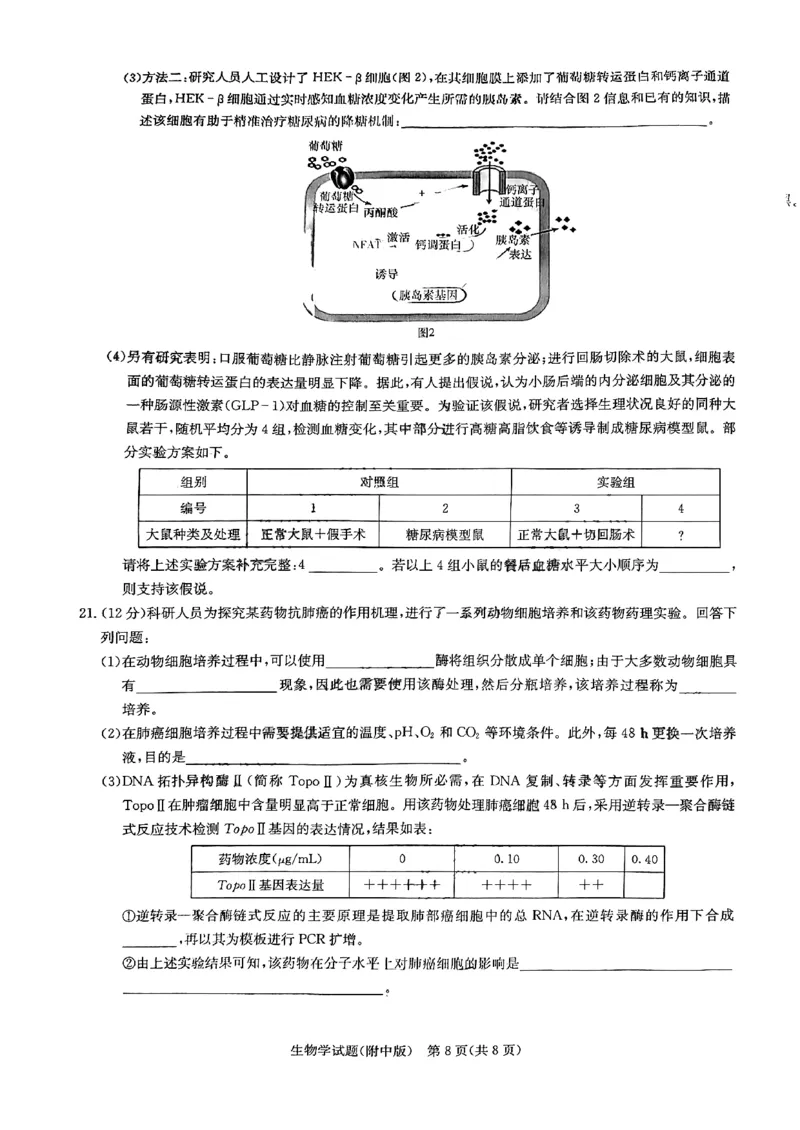 英才大联考湖南师大附中2024届高三月考七生物无答案_2024年4月_01按日期_1号_2024届湖南师范大学附属中学高三月考（七）