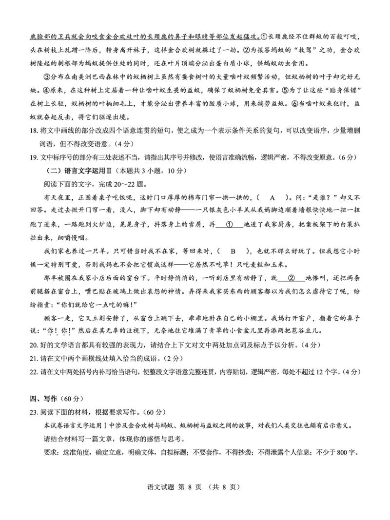 名校教研联盟2025届高三12月联考语文_2024-2025高三（6-6月题库）_2024年12月试卷_1227（西北卷）名校教研联盟2025届高三12月联考