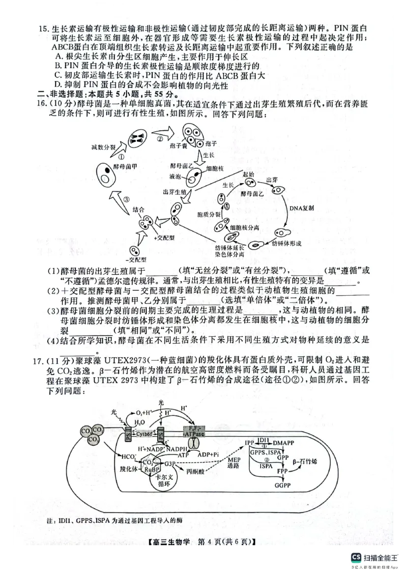 河南省名校联盟2024-2025学年上学期高三12联考-生物_2024-2025高三（6-6月题库）_2024年12月试卷_1225河南省金科大联考2024-2025学年上学期高三12月联考