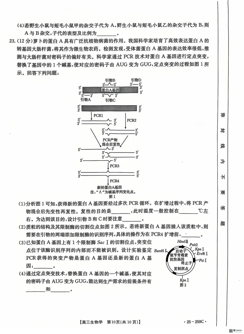 河北省&ldquo;五个一&rdquo;名校联盟2024-2025学年高三上学期12月月考试题生物PDF版含答案_2024-2025高三（6-6月题库）_2024年12月试卷