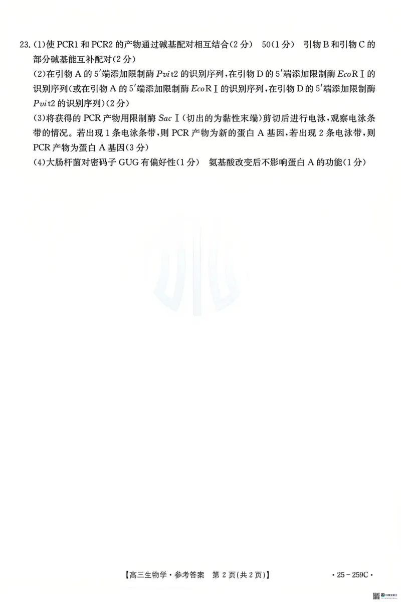 河北省&ldquo;五个一&rdquo;名校联盟2024-2025学年高三上学期12月月考试题生物PDF版含答案_2024-2025高三（6-6月题库）_2024年12月试卷