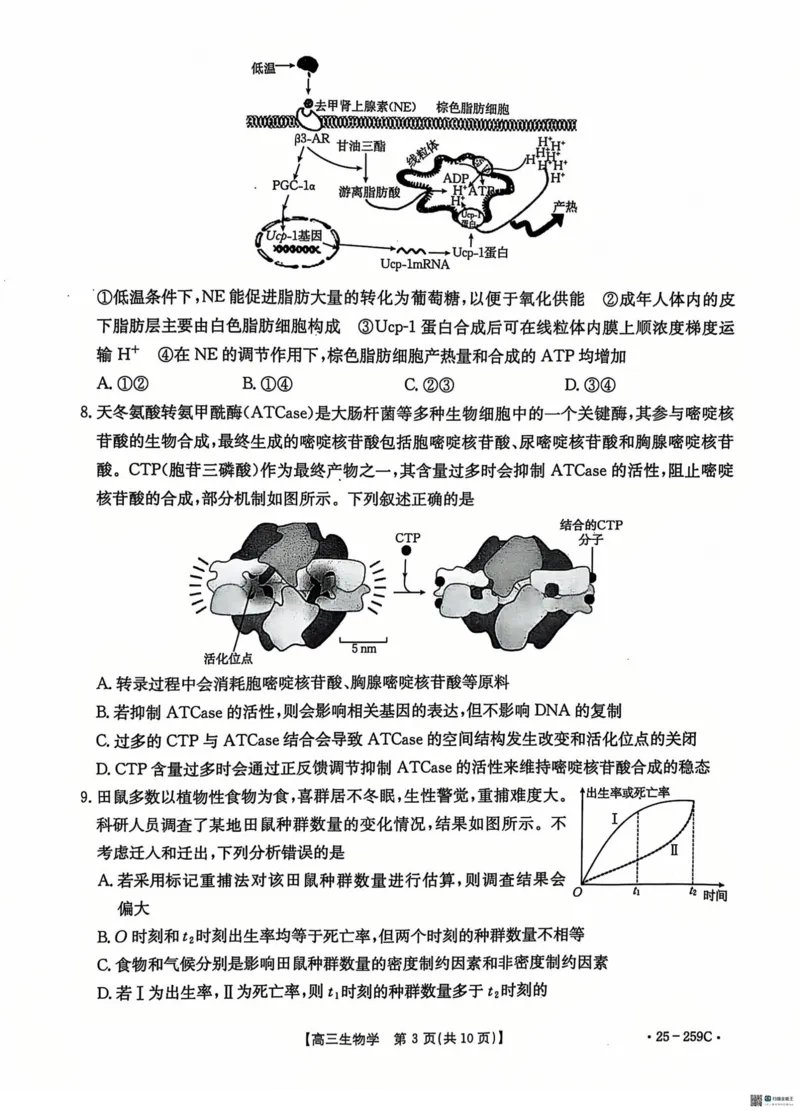 河北省&ldquo;五个一&rdquo;名校联盟2024-2025学年高三上学期12月月考试题生物PDF版含答案_2024-2025高三（6-6月题库）_2024年12月试卷