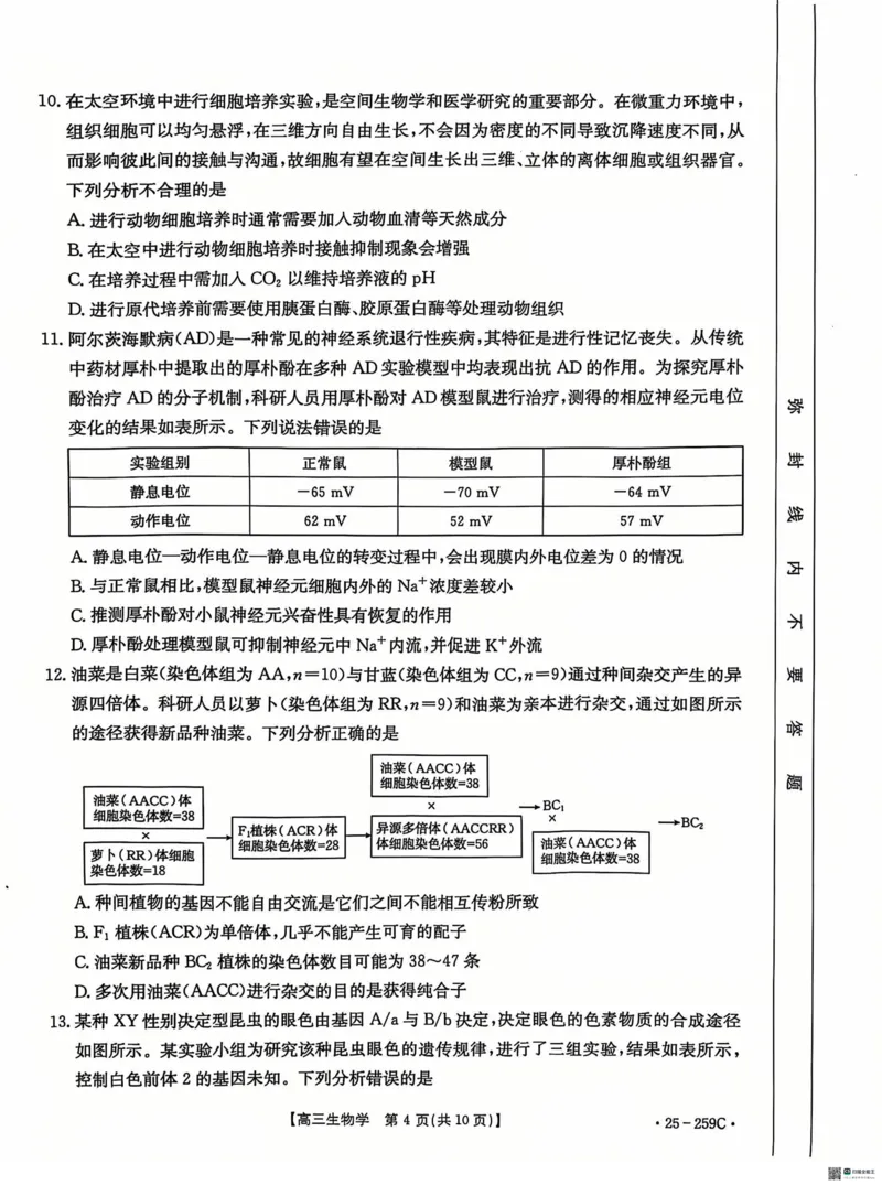 河北省&ldquo;五个一&rdquo;名校联盟2024-2025学年高三上学期12月月考试题生物PDF版含答案_2024-2025高三（6-6月题库）_2024年12月试卷