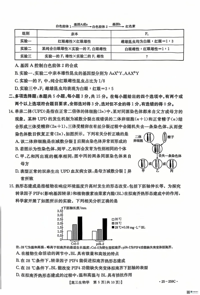 河北省&ldquo;五个一&rdquo;名校联盟2024-2025学年高三上学期12月月考试题生物PDF版含答案_2024-2025高三（6-6月题库）_2024年12月试卷